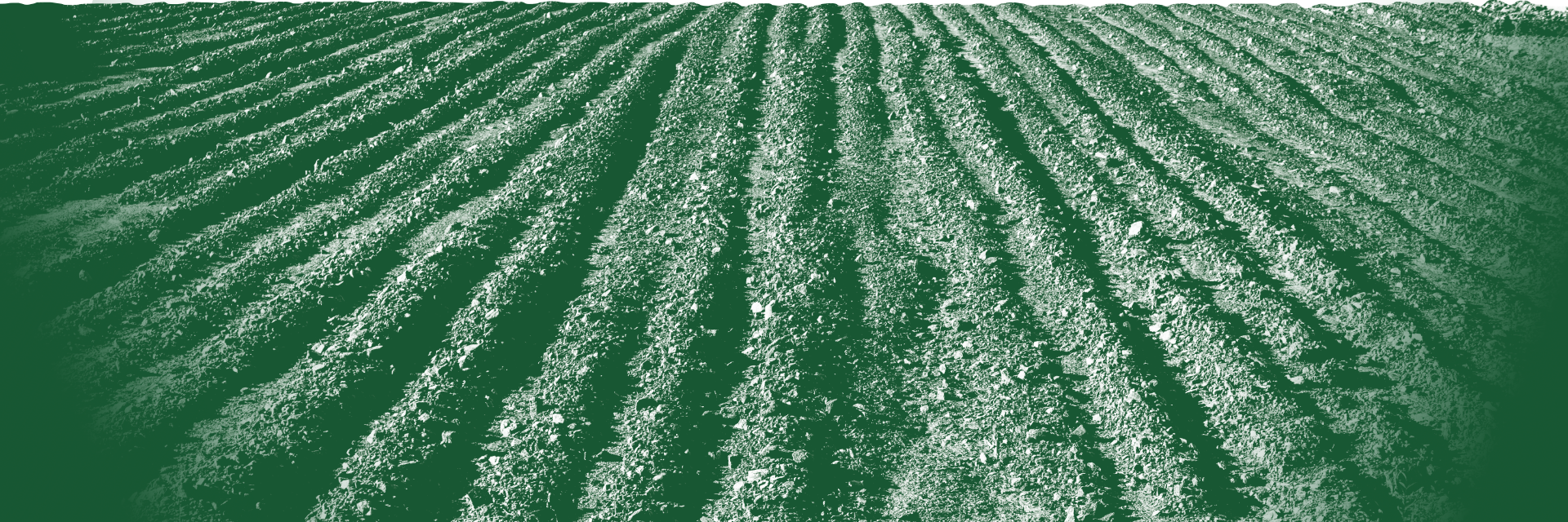 Green Soil Image Background